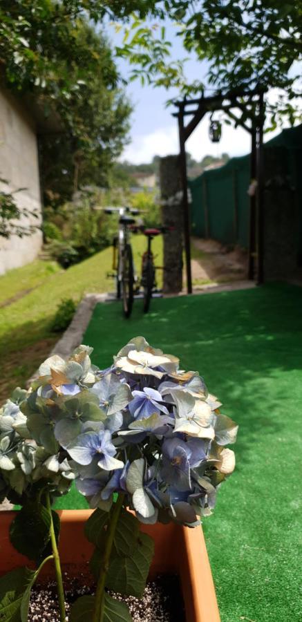 Quinta De Carvalhal - Casa De Campo Guimarães Esterno foto